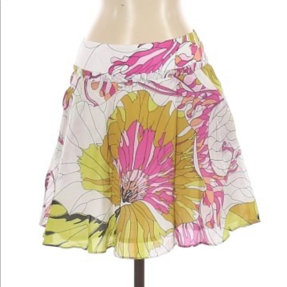 Leifnotes Anthropologie skirt sz 4